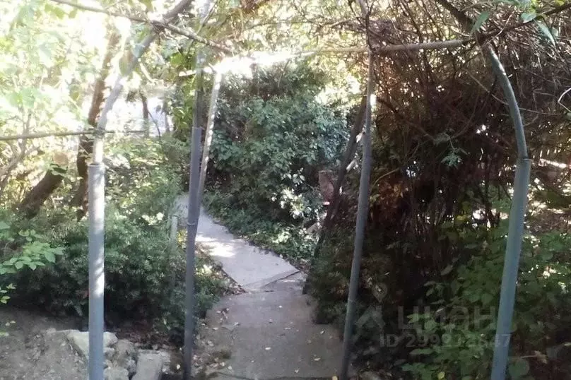 Дом в Крым, Ялта городской округ, Кореиз пгт ш. Алупкинское (25 м) - Фото 2