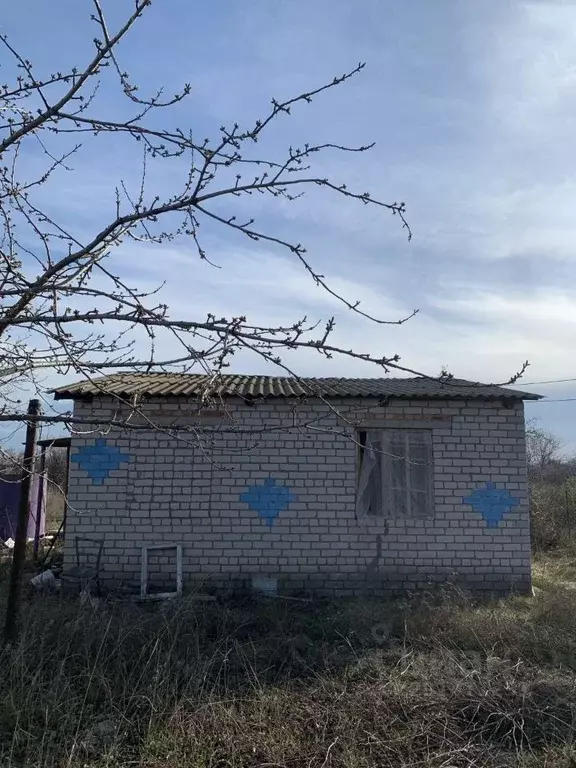 Дом в Волгоградская область, Дубовский район, Пичужинское с/пос, с. ... - Фото 1