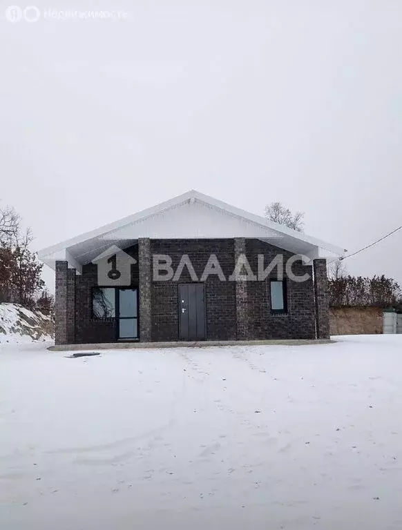 Дом в Амурская область, Благовещенский муниципальный округ, село ... - Фото 1