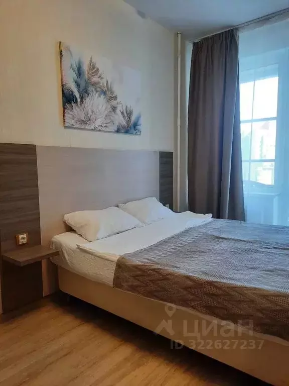 Студия Санкт-Петербург Пулковское ш., 14Е (24.0 м) - Фото 1