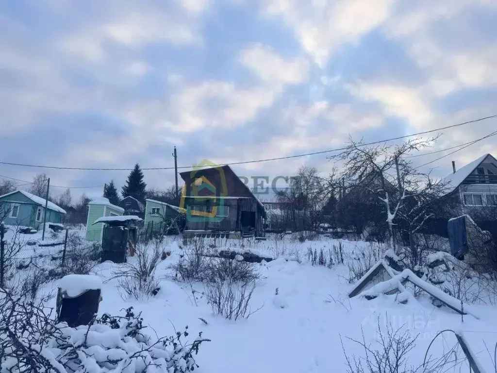 Участок в Ленинградская область, Ломоносовский район, Пениковское ... - Фото 2