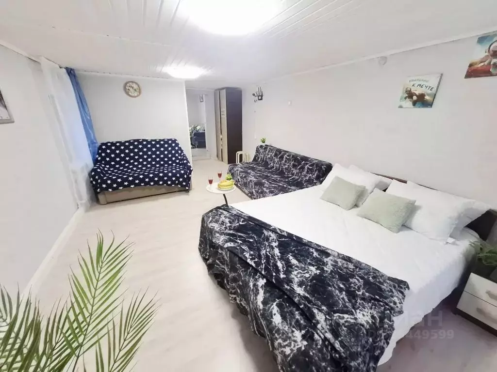 1-к кв. Московская область, Пушкинский городской округ, д. Талицы 8 ... - Фото 2