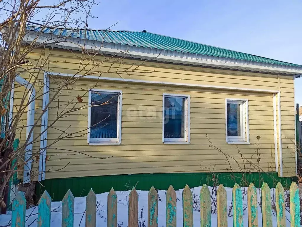 Дом в Челябинская область, Южноуральск Боровая ул., 91 (46 м) - Фото 0