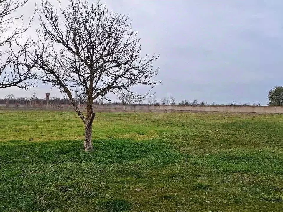 Участок в Крым, Красногвардейский район, Амурское с/пос, с. ... - Фото 1