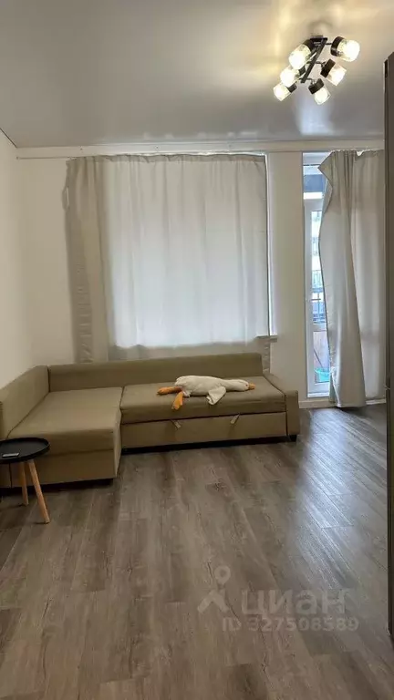 Студия Санкт-Петербург просп. Ветеранов, 202 (25.5 м) - Фото 2