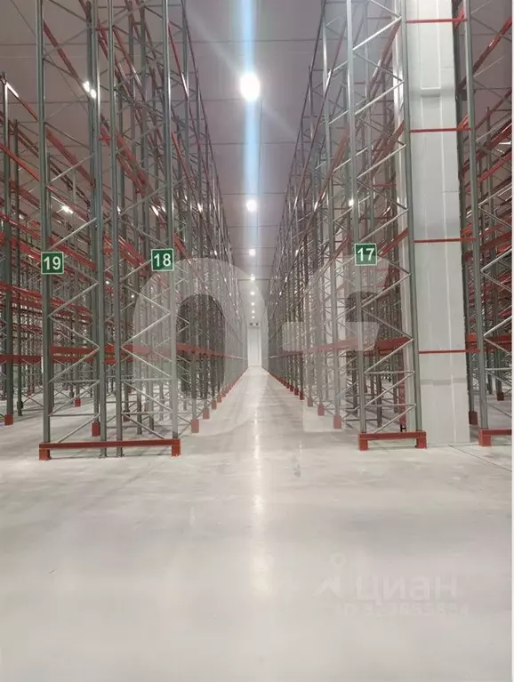 Склад в Московская область, Домодедово городской округ, д. Кучино 54 ... - Фото 2