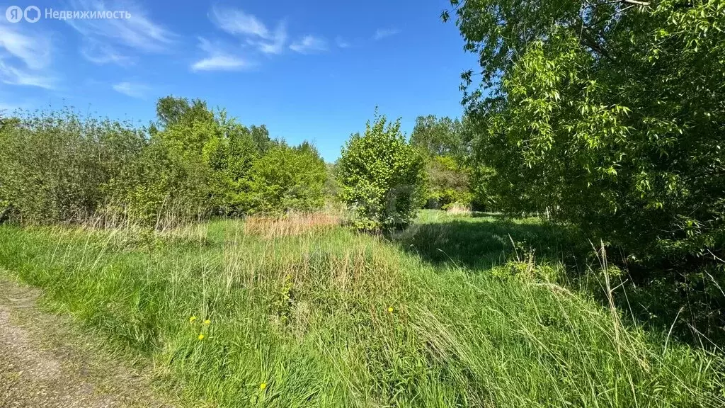 Участок в Калининград, СНТ Мелиоратор (12.4 м) - Фото 1
