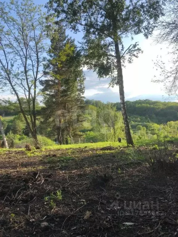Участок в Белгородская область, Белгородский район, Тавровское с/пос, ... - Фото 1