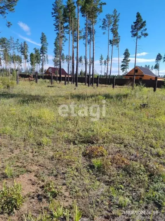 Участок в Забайкальский край, Читинский район, с. Смоленка  (9.03 ... - Фото 1