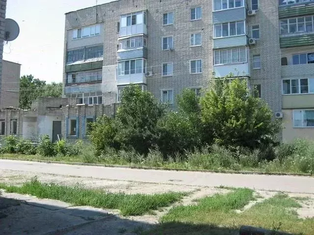 Помещение свободного назначения в Саратовская область, Балашов ул. ... - Фото 2