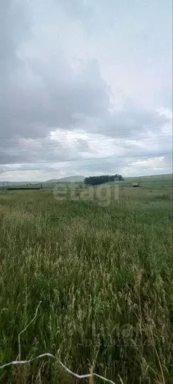 Участок в Красноярский край, Емельяновский район, Солонцовский ... - Фото 0