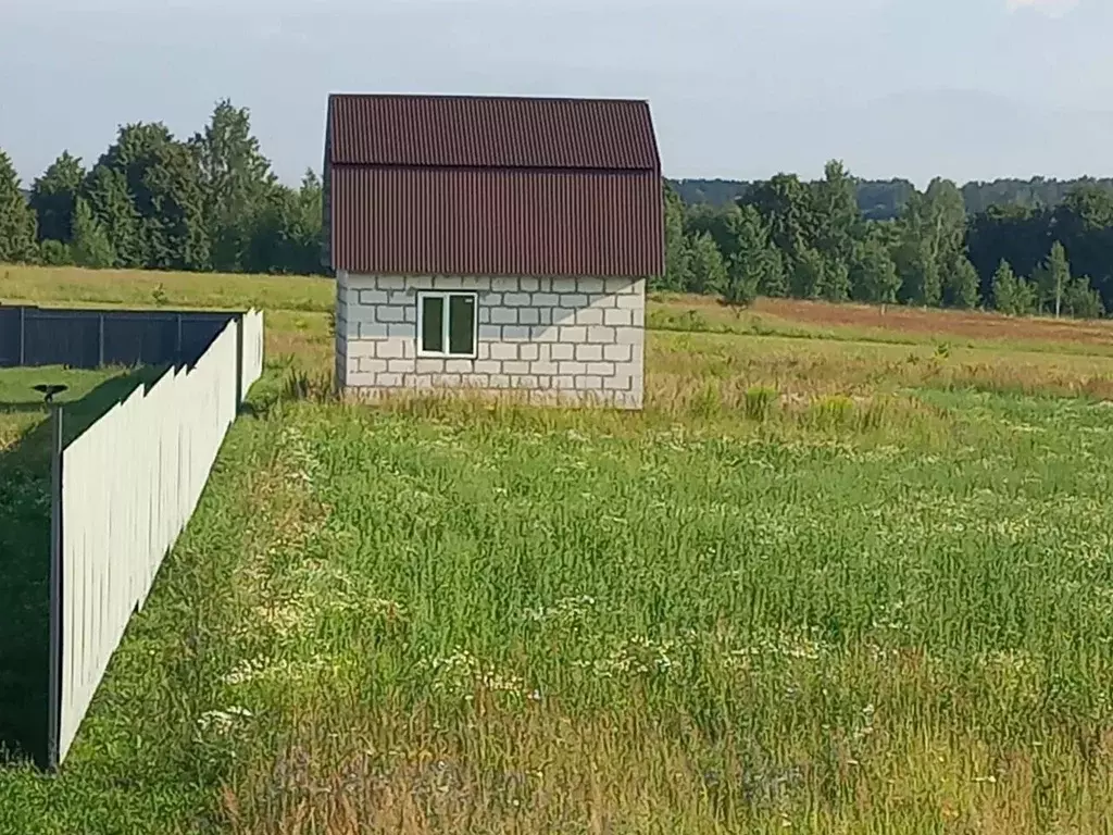 Дом в Московская область, Луховицы муниципальный округ, с. Подлесная ... - Фото 1