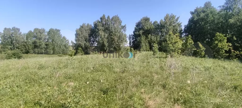 Купить Участок В Уфимском
