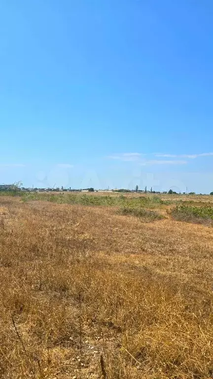 Участок 6 сот. (СНТ, ДНП) - Фото 1