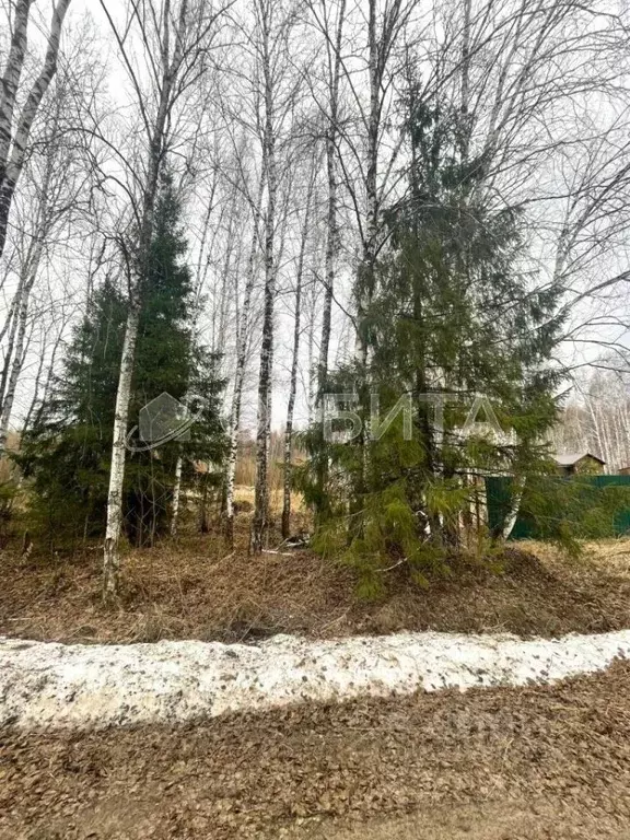 Участок в Тюменская область, Нижнетавдинский муниципальный округ, ... - Фото 2