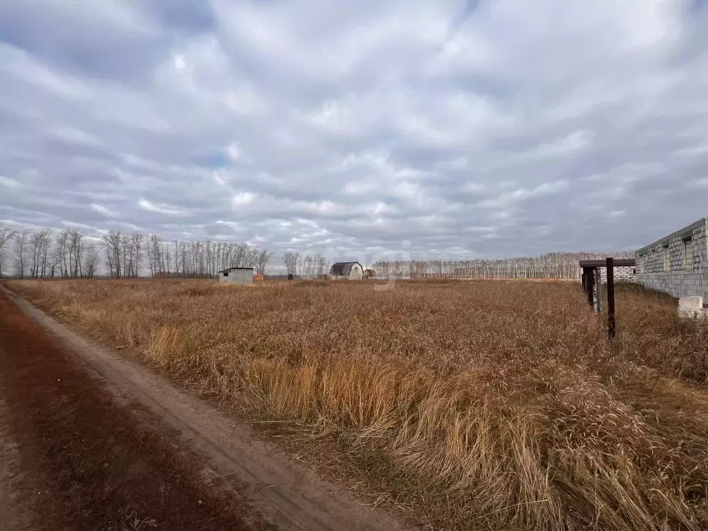 Участок в Омская область, Омский район, с. Усть-Заостровка ул. 2-я ... - Фото 0