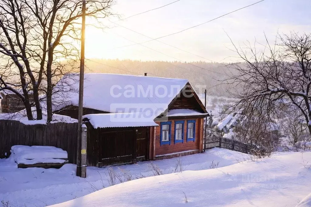 Дом в Челябинская область, Нязепетровск ул. Крушина, 12 (45 м) - Фото 1