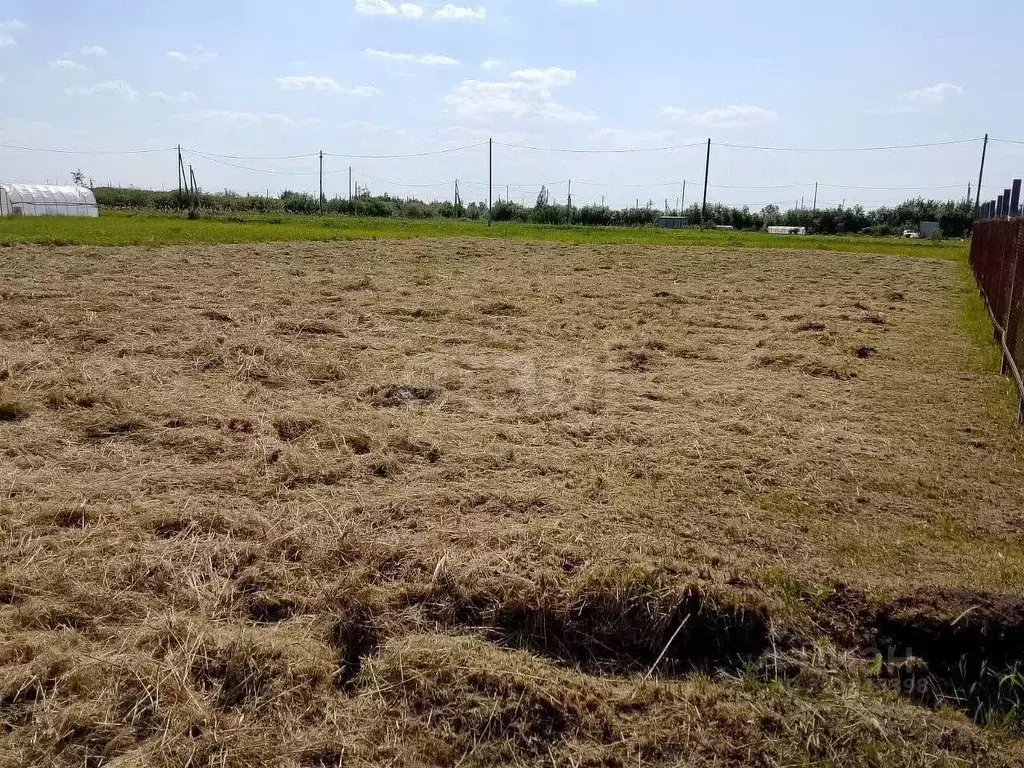 Участок в Тюменская область, Тюмень Большое Царево-3 ОНТ,  (9.97 сот.) - Фото 2