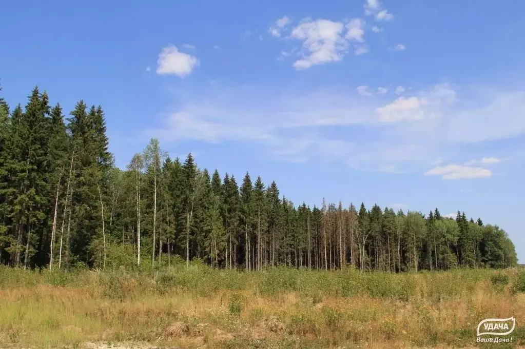 Участок в Калужская область, Малоярославецкий муниципальный округ, ... - Фото 2