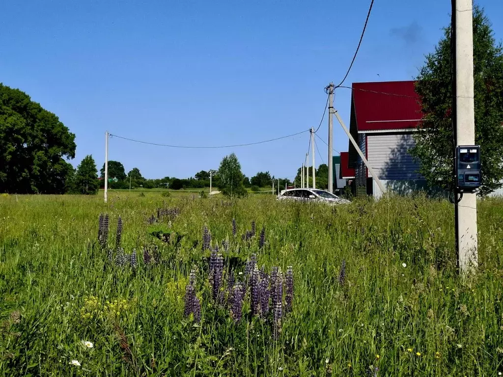 Участок в Марий Эл, Моркинский район, Коркатовское с/пос, д. Коркатово ... - Фото 2