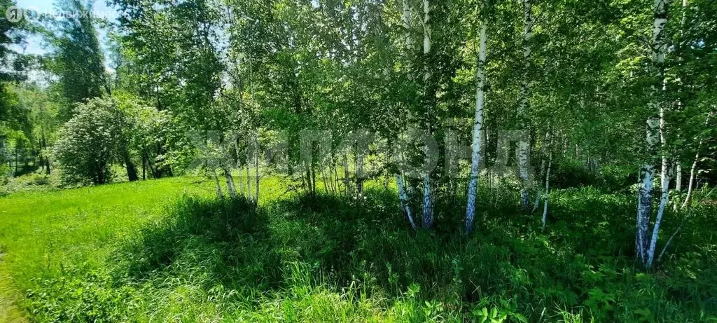 Участок в Морозовский сельсовет, дачное некоммерческое товарищество ... - Фото 0