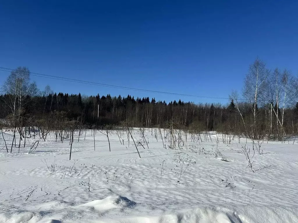 Участок в Московская область, Рузский муниципальный округ, д. ... - Фото 1