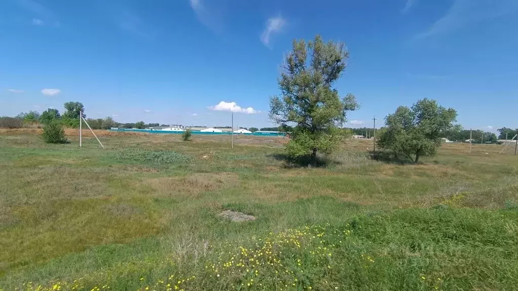 Участок в Волгоградская область, Среднеахтубинский район, Кировское ... - Фото 0