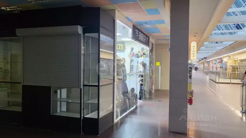 Торговая площадь в Псковская область, Псков Коммунальная ул., 41 (4 м) - Фото 2