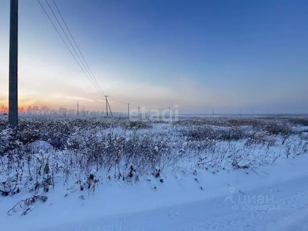Участок в Красноярский край, Красноярск городской округ, с. Дрокино, ... - Фото 1