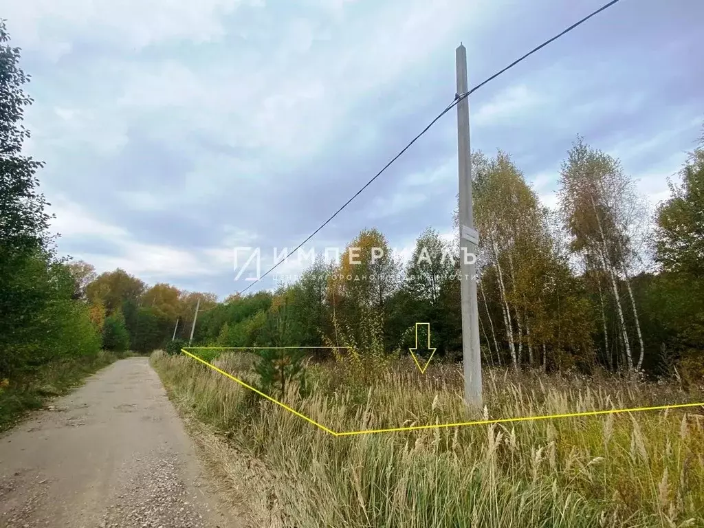 Участок в Калужская область, Жуковский муниципальный округ, Высокиничи ... - Фото 2