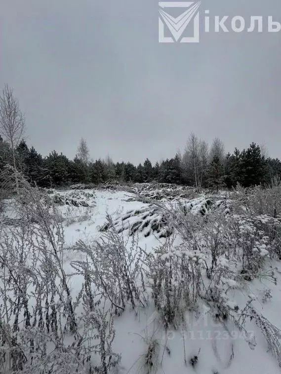 Участок в Иркутская область, Иркутский муниципальный округ, с. ... - Фото 1