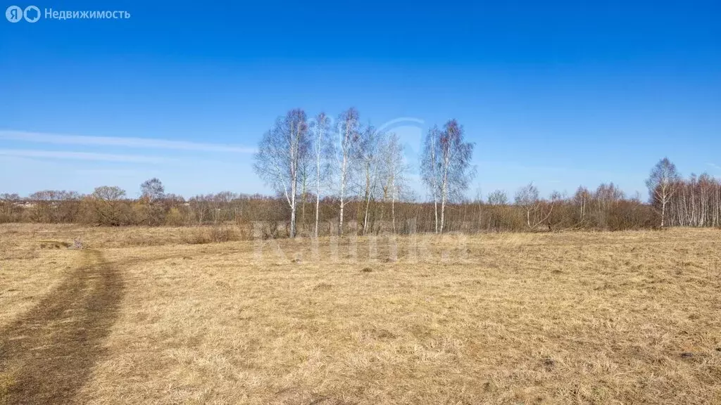 Участок в Одинцовский городской округ, КП Бузаево (75 м) - Фото 2