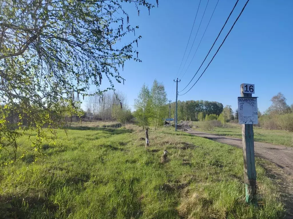 Участок в Новосибирская область, Бердск Ива СНТ,  (8.0 сот.) - Фото 0