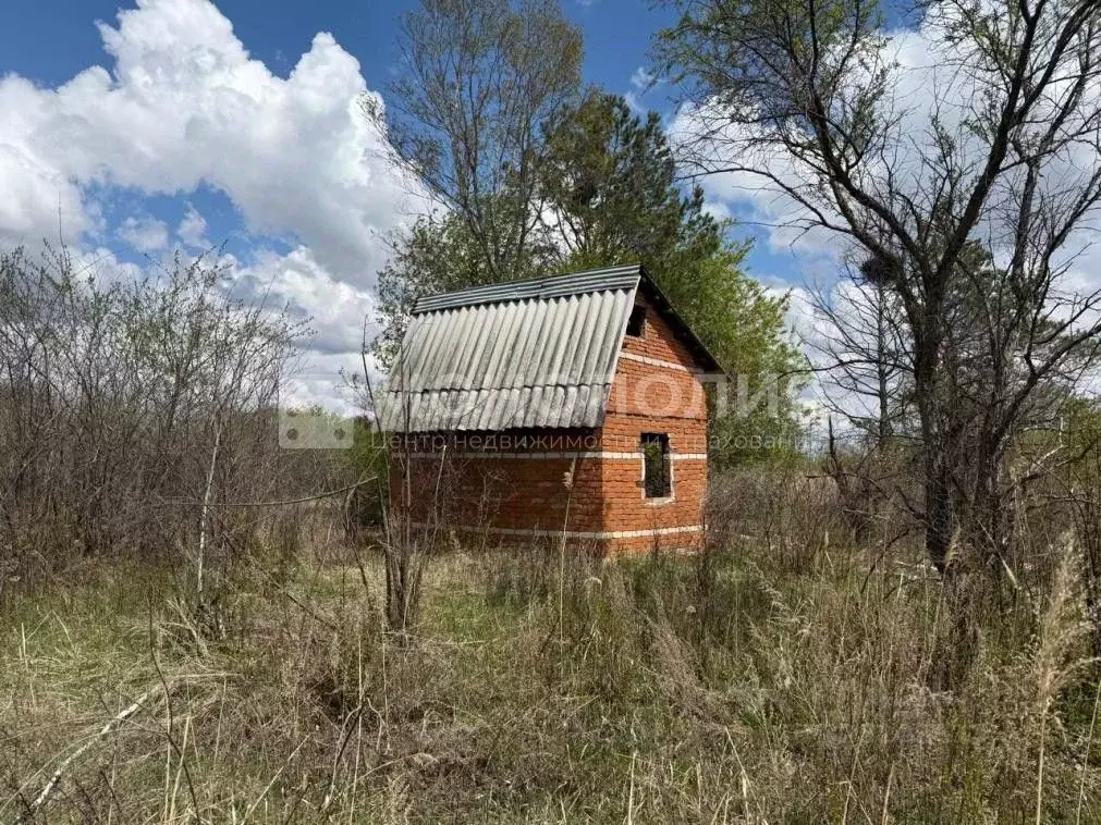 Дом в Амурская область, Белогорский муниципальный округ, с. ... - Фото 1