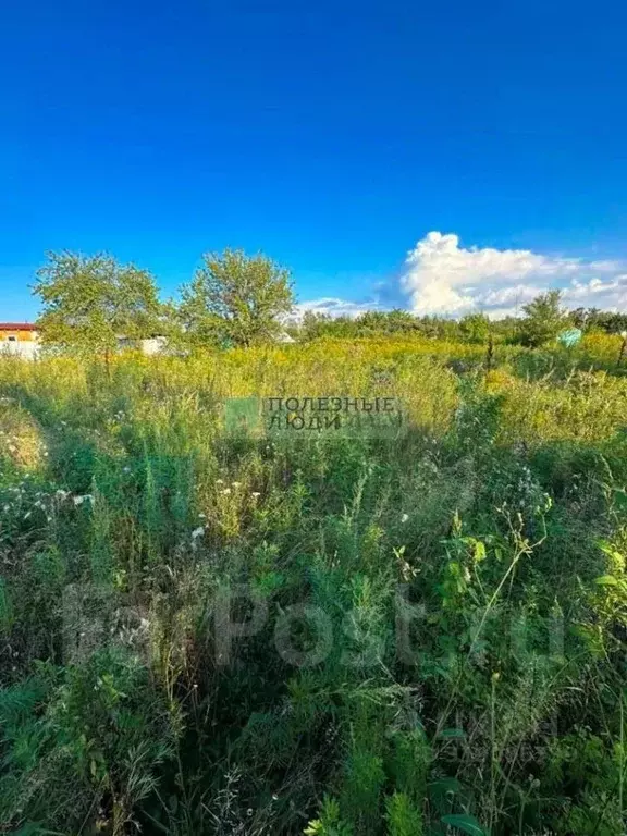Участок в Еврейская автономная область, Смидовичский район, с. ... - Фото 0