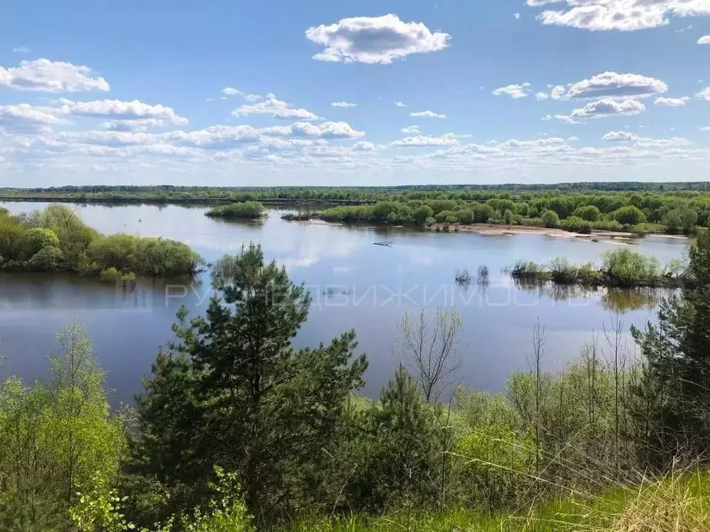 Участок в Кировская область, Орловский район, д. Большие Ждановы . - Фото 0