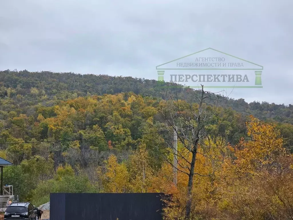 Участок в Приморский край, Артем Родник-1 СНТ, ул. Гагарина, 62 (11.0 ... - Фото 2