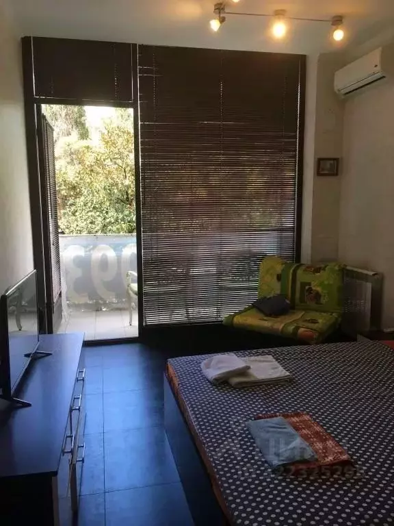 1-к кв. Краснодарский край, Сочи Курортный просп., 75к1 (21.0 м) - Фото 1