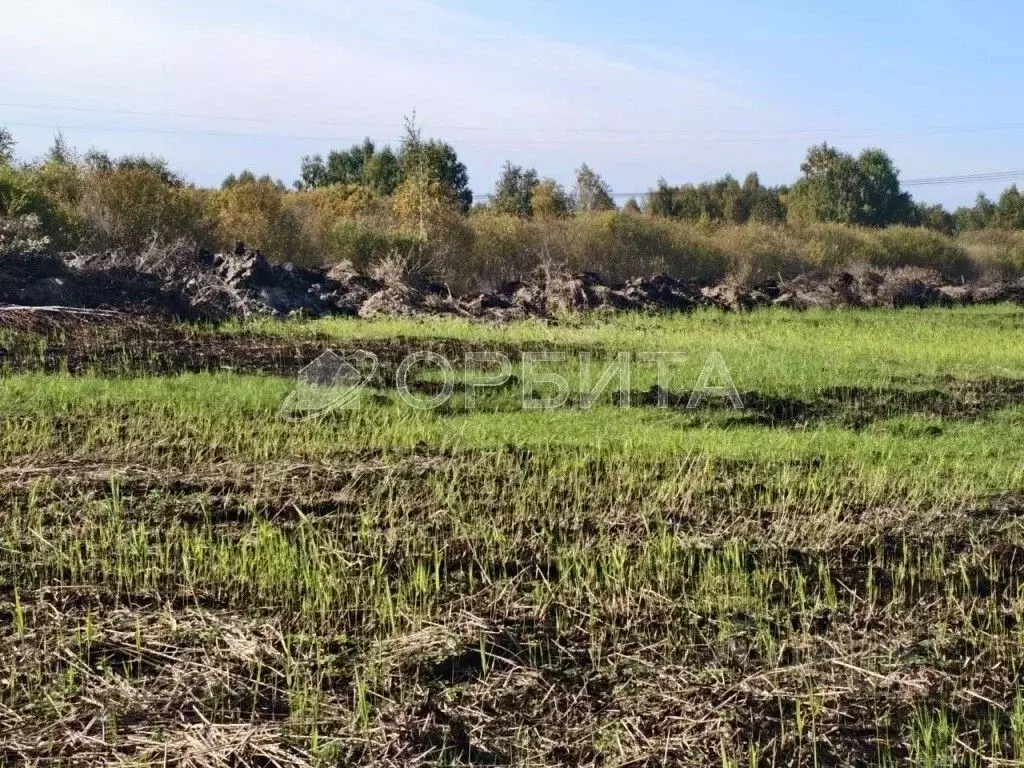 Участок в Тюменская область, Тюмень  (7.0 сот.) - Фото 2