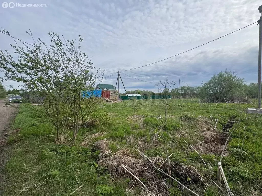 Участок в Архангельская область, Приморский муниципальный округ, ... - Фото 2