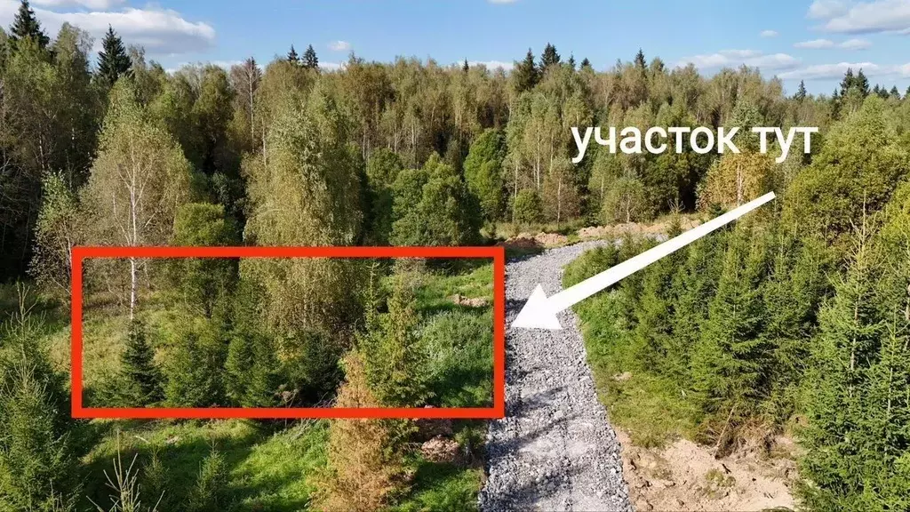 Участок в Калужская область, Боровский муниципальный округ, д. Шилово  ... - Фото 2