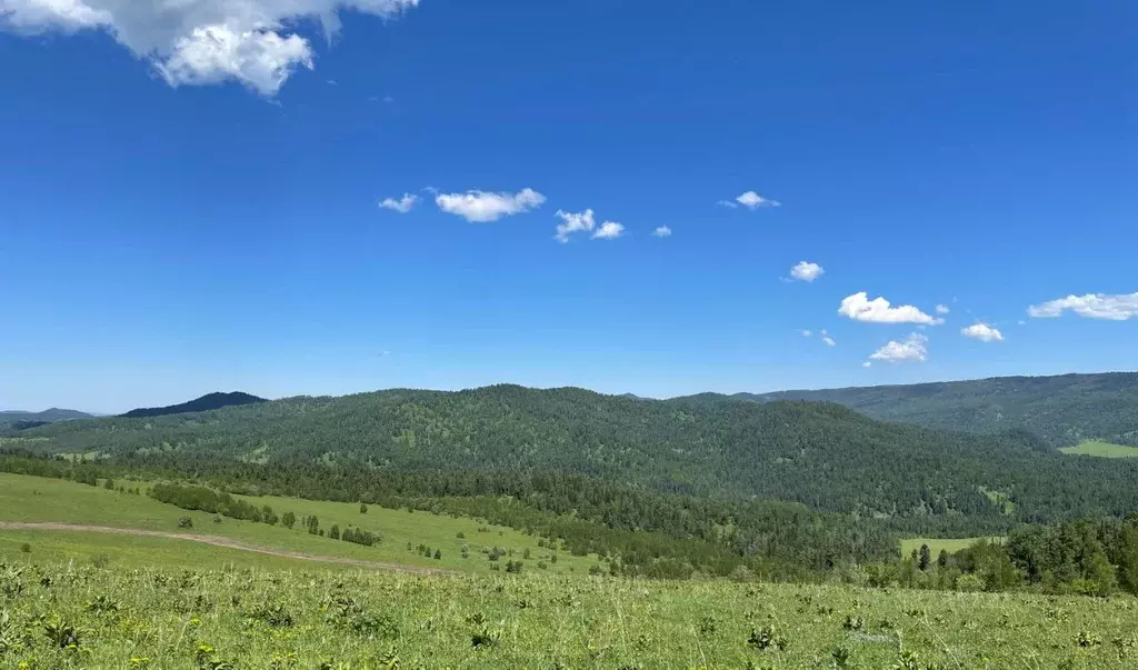 Участок в Алтай, Чемальский район, Седьмое небо кп  (39.9 сот.) - Фото 1