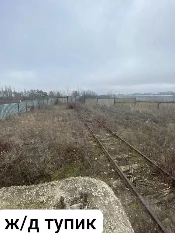 Участок в Ставропольский край, Шпаковский муниципальный округ, с. ... - Фото 2