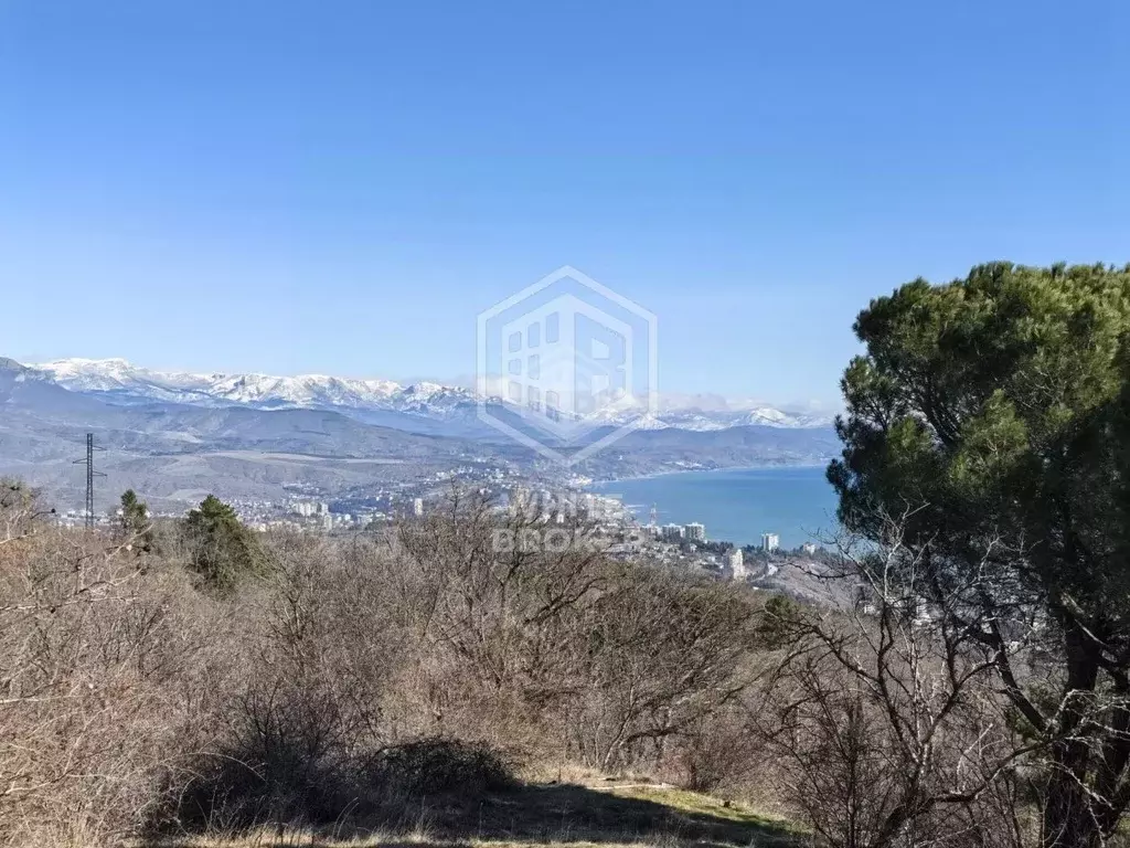 Участок в Крым, Алушта муниципальный округ, с. Виноградное 3 (8.0 ... - Фото 2