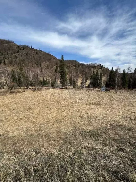Участок в Алтай, Шебалинский район, с. Дъектиек ул. Центральная (10.0 ... - Фото 1