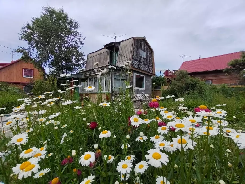 Дом в Камчатский край, Елизовский район, Домостроитель-1 СНТ  (39 м) - Фото 0