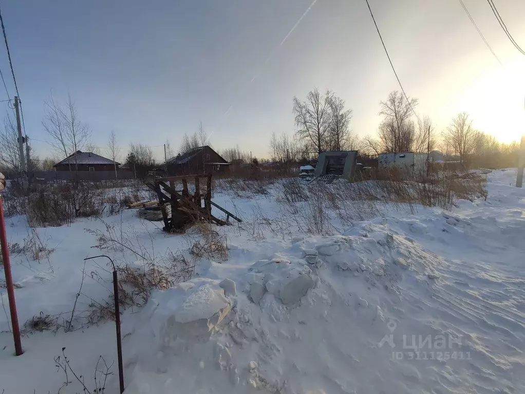 Участок в Новосибирская область, Новосибирский район, Станционный ... - Фото 0