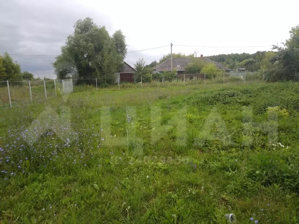 Дер носово. Носово-2 Луховицкий район Московской области. Деревня Носово 2 Луховицкий район. Деревня Носово Московская область. Носово 1 Луховицкий район.