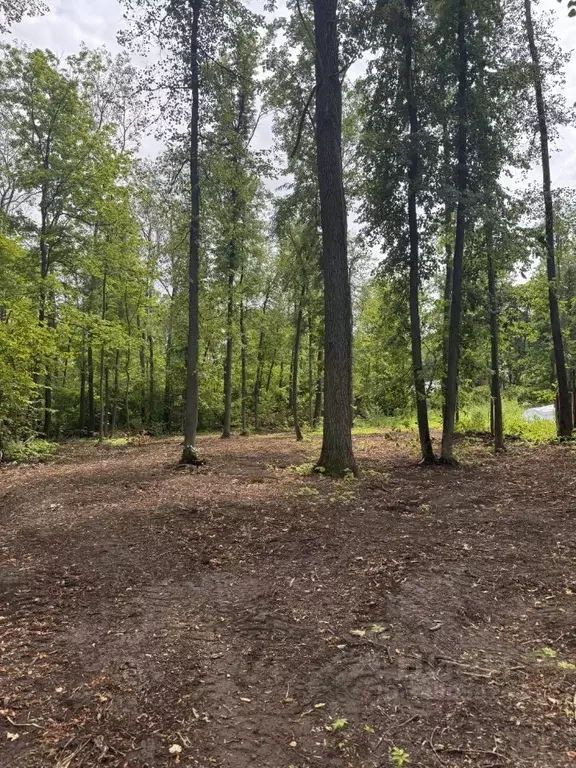 Участок в Самарская область, Самара  (5.0 сот.) - Фото 1