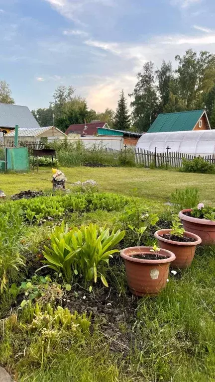 Дом в Новосибирская область, Новосибирск Кедр СНТ,  (30 м) - Фото 0